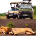 Top 5 Tourist Vehicles To Hire For Your Next Uganda Safari